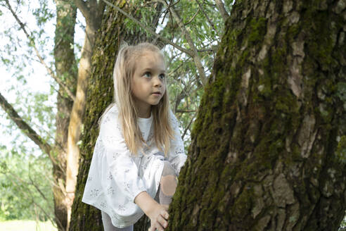 Cute girl climbing on tree in forest - VPIF02567