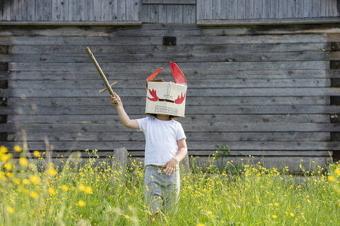 Boy wearing mask holding toy sword while standing amidst plants against cottage - VPIF02571