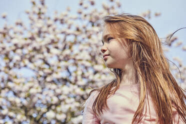 Portrait of brunette girl standing outdoors, tree with pink blossoms in background. - CUF55583