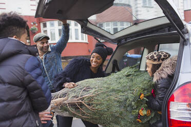 Familie lädt Weihnachtsbaum ins Auto - CAIF28168