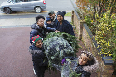 Familie trägt Weihnachtsbaum in die Einfahrt - CAIF28173