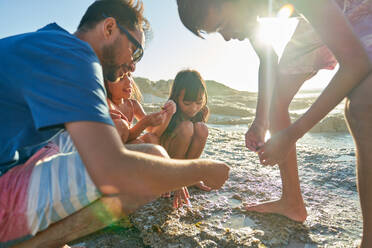 Familie erkundet Gezeitentümpel am sonnigen Strand - CAIF28241