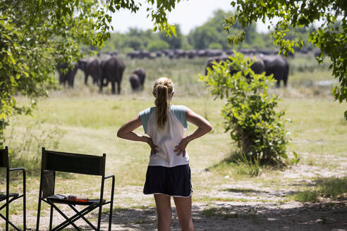 Zwölfjähriges Mädchen beobachtet Elefanten, Moremi-Reservat, Botsuana - MINF14569