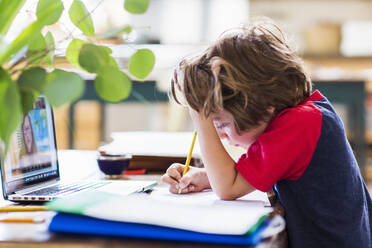 6 year old boy using laptop for remote schooling at home - MINF14588