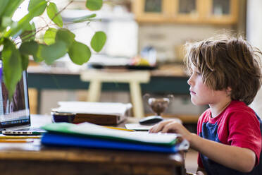 6 year old boy using laptop for remote schooling at home - MINF14589