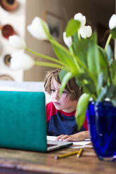 6-jähriger Junge benutzt Laptop für Fernunterricht zu Hause - MINF14590