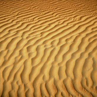 United Arab Emirates, Emirate of Abu Dhabi, Rippled sand at Quarter desert - DSGF02206