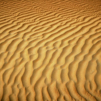 Vereinigte Arabische Emirate, Emirat Abu Dhabi, Gekräuselter Sand im Wüstenviertel - DSGF02206