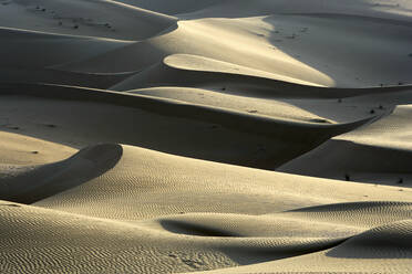 United Arab Emirates, Emirate of Abu Dhabi, Sand dunes at Quarter desert - DSGF02208