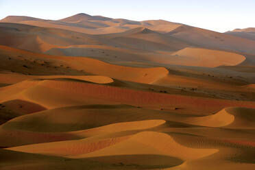 United Arab Emirates, Emirate of Abu Dhabi, Sand dunes at Quarter desert - DSGF02210