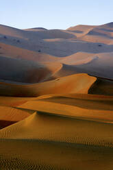 Vereinigte Arabische Emirate, Emirat Abu Dhabi, Sanddünen im Wüstenviertel - DSGF02211