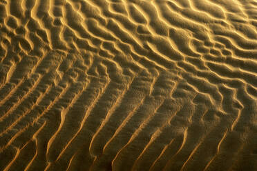 Vereinigte Arabische Emirate, Emirat Abu Dhabi, Gekräuselter Sand im Wüstenviertel - DSGF02213