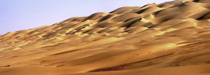 United Arab Emirates, Emirate of Abu Dhabi, Sand dunes at Quarter desert - DSGF02220
