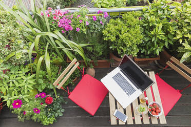 Laptop lying on balcony table surrounded by various summer herbs and flowers - GWF06619