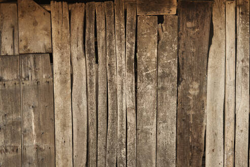 Old wooden wall - BZF00556