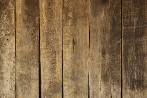 Old wooden wall - BZF00558