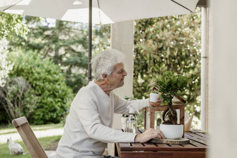 Älterer Mann mit Zimmerpflanzen auf der Terrasse, lizenzfreies Stockfoto