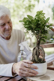 Senior man holding bonsai plant - AFVF06711