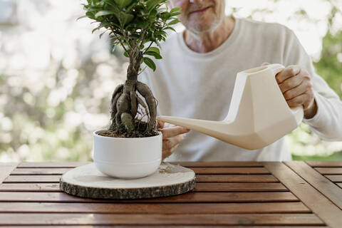 Älterer Mann beim Gießen einer Bonsaipflanze, lizenzfreies Stockfoto
