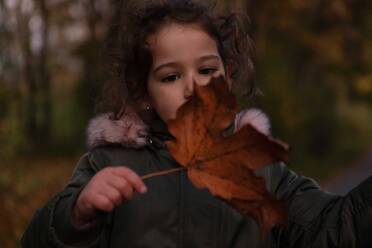 Nachdenkliches Mädchen, das ein Ahornblatt im Park im Herbst betrachtet - MASF18827