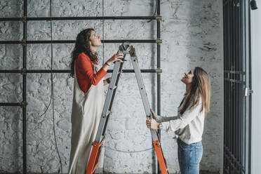 Two mid adult women on step ladders looking up in their new shop - CUF55603