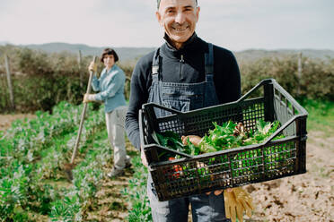 Ein lächelnder Mann steht im Gemüsegarten und hält eine Plastikschale mit frisch geerntetem Gemüse. - CUF55614