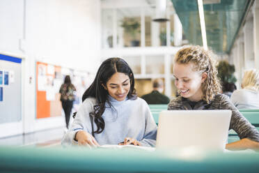 Smiling young female students studying in cafeteria at university - MASF19119