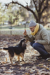 Mann in voller Länge im Gespräch mit Hund im Herbst im Park kauernd - MASF19277