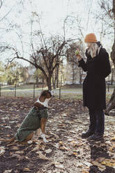 Volle Länge der jungen Frau spielt Ball mit Boxer Hund im Park - MASF19278