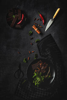 Schokolade mit roten Chilischoten, Minze und Himbeeren auf dunklem Hintergrund.flat lay - ADSF00181