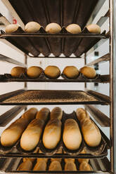 Various bread loafs in shelves of trolley at bakery - EBBF00367