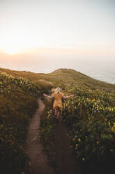 Rückenansicht einer jungen Frau in einem niedlichen Kleid, die während eines herrlichen Sonnenaufgangs in Point Reyes, Kalifornien, auf einem Feldweg zum ruhigen Meer läuft - ADSF00219