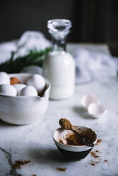 Schale und Löffel mit Kakaopulver stehen auf einem Marmortisch neben einer Schale mit frischen Eiern und einer Flasche mit Milchprodukten - ADSF00349