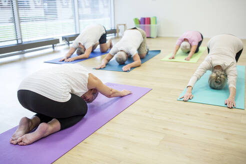 Gruppe aktiver Senioren, die gemeinsam Yoga praktizieren - WESTF24704