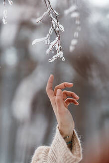 Die Hand einer nicht erkennbaren Frau berührt einen Raureifzweig im Winterwald. - ADSF00486