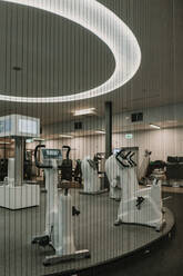 Moderne Trainingsgeräte in einem stilvollen Fitnessstudio - ADSF00553