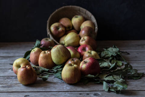 Äpfel und Blätter in der Nähe des Korbes, lizenzfreies Stockfoto