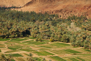 Von oben Oase mit grünen tropischen Bäumen und Ländereien in der Nähe von Felsen Gebäude auf Berg in Marrakesch, Marokko - ADSF00748