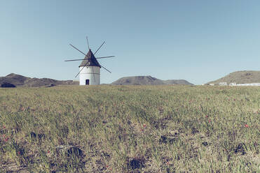 Picturesque view of rustic white beautiful small plastered windmill placed on farmer field with plants growing around on background of mountains on sunny summer day - ADSF00822