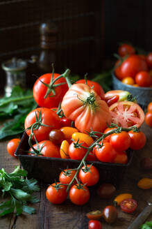 Eine Vielzahl von roten, gelben und schwarzen Tomaten auf einem Vintage-Tablett auf dunklem, rustikalem Holzhintergrund. - ADSF00890