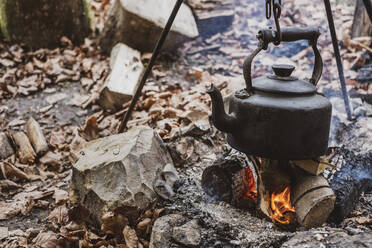 Nahaufnahme eines Kessels über einem Lagerfeuer in einem Wald. - MINF14632