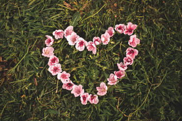 From above heart made of small pink flowers on green grass. - ADSF00929