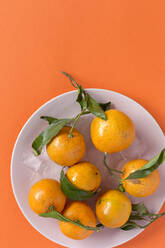 Frische Mandarinen der Saison, Flachbildschirm, Draufsicht, orangefarbener Hintergrund - ADSF01134