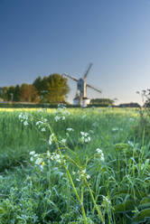 Saxtead Green Windmill, Pfostenmühle, Saxtead Green, Suffolk, England, Vereinigtes Königreich, Europa - RHPLF15413