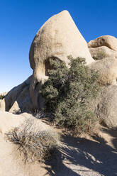 Skull rock formation, Joshua Tree National Park, California, United States of America, North America - RHPLF15468