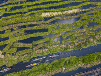 Aerial by drone of the floating gardens, Inle Lake, Shan state, Myanmar (Burma), Asia - RHPLF15482