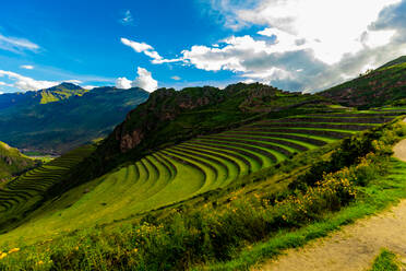 Schöne Terrassen am Berghang in Pisac, Peru, Südamerika - RHPLF15562