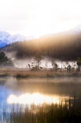 Nebliger Sonnenaufgang am Teich im Naturschutzgebiet Pian di Gembro, Pian di Gembro, Valtellina, Lombardei, Italien, Europa - RHPLF15583