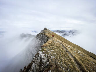 Erwachsener Mann beim Wandern auf einem Berggipfel bei Nebel - MALF00019