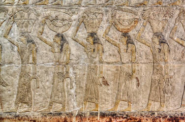 Reliefs, Mastaba of Ankh-Ma-Hor, Necropolis of Saqqara, UNESCO World Heritage Site, Saqqara, Egypt, North Africa, Africa - RHPLF15628